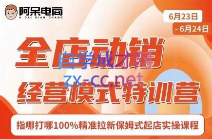 阿呆电商·全店动销经营模式特训营(线下录音+思维导图)-数屿科技资源网