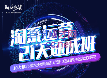 淘系运营21天速成班(更新7月)-数屿科技资源网