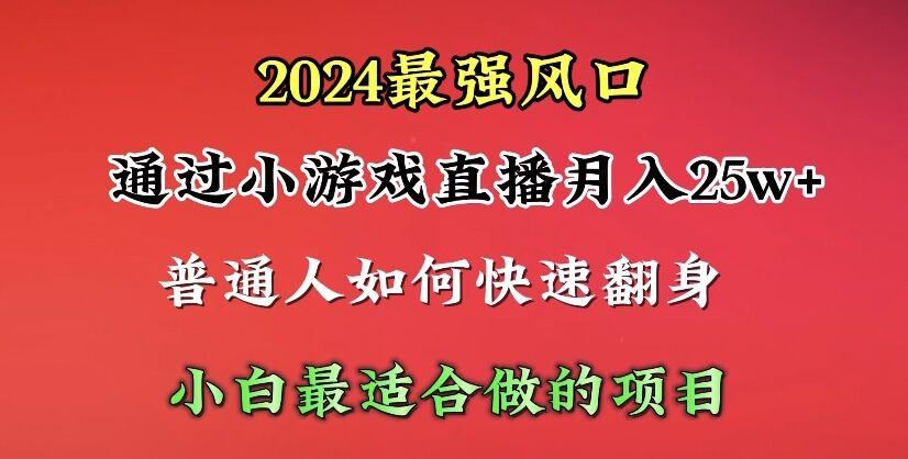 (10020期)2024年最强风口，通过小游戏直播月入25w+单日收益5000+小白最适合做的项目-数屿科技资源网