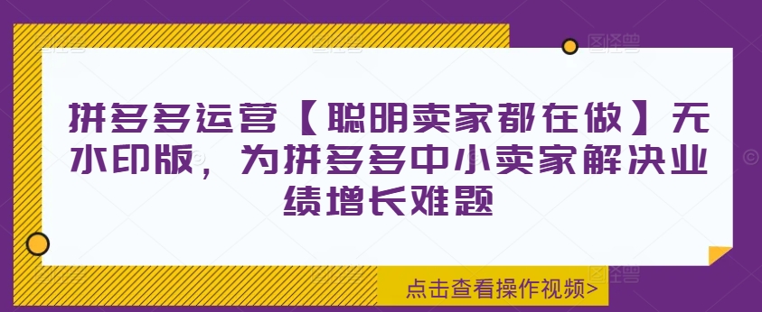 拼多多运营【聪明卖家都在做】无水印版，为拼多多中小卖家解决业绩增长难题-数屿科技资源网