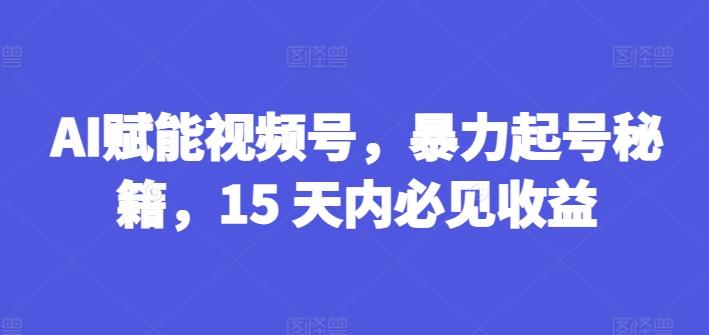 AI赋能视频号，暴力起号秘籍，15 天内必见收益【揭秘】-数屿科技资源网