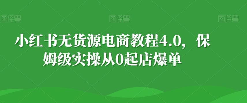 小红书无货源电商教程4.0，保姆级实操从0起店爆单【拆解】-数屿科技资源网