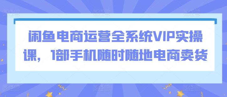 闲鱼电商运营全系统VIP实操课，1部手机随时随地电商卖货-数屿科技资源网