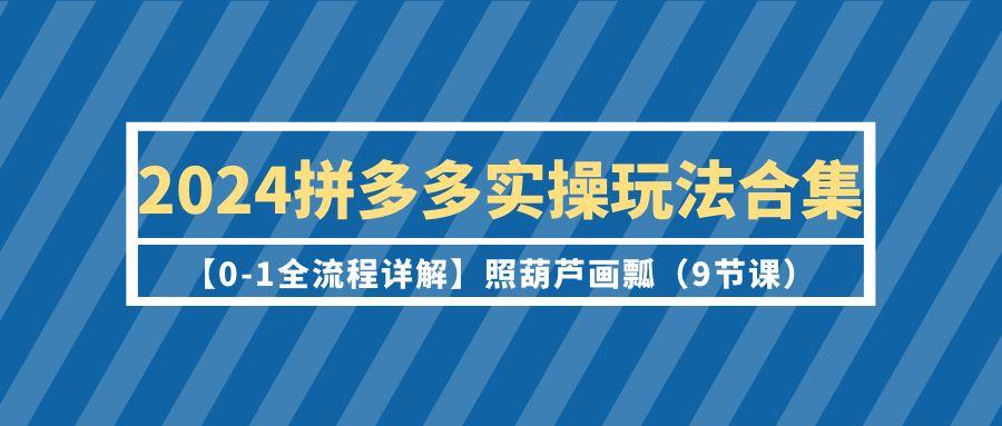 (9559期)2024拼多多实操玩法合集【0-1全流程详解】照葫芦画瓢(9节课)-数屿科技资源网