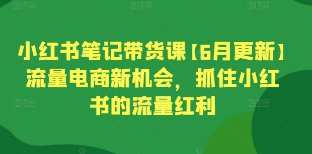 小红书笔记带货课【6月更新】流量电商新机会，抓住小红书的流量红利-数屿科技资源网