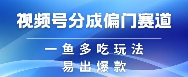 视频号创作者分成计划偏门类目,容易爆流,实拍内容简单易做【揭秘】-数屿科技资源网