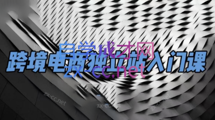 团长·跨境电商独立站入门课(2小时精华)-数屿科技资源网