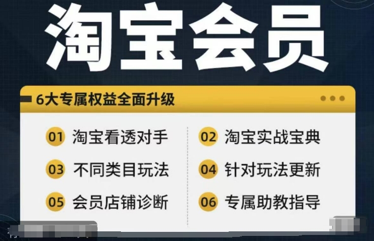 淘宝会员【淘宝所有课程，全面分析对手】，初级到高手全系实战宝典-数屿科技资源网