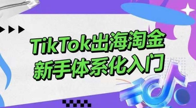 TikTok出海淘金,新手体系化入门,零基础快速入门,掌握短视频、直播带货等引流到变现的知识-数屿科技资源网