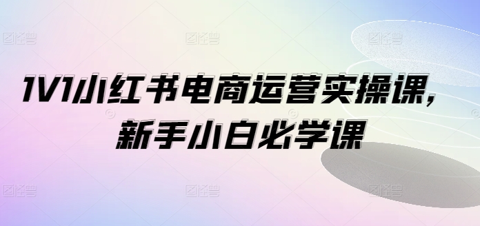 1V1小红书电商运营实操课，新手小白必学课-数屿科技资源网