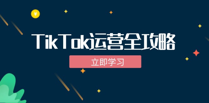 TikTok实战运营全攻略：从下载软件到变现，抖音海外版实操教程-数屿科技资源网