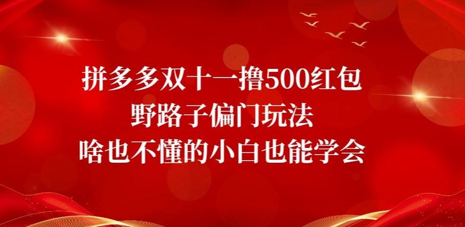 拼多多双十一撸500红包野路子偏门玩法，啥也不懂的小白也能学会【揭秘】-数屿科技资源网